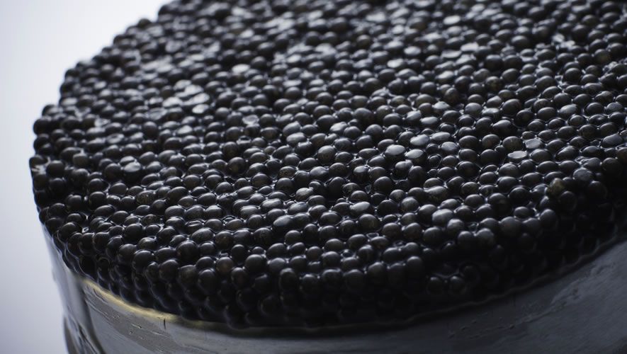 宮崎キャビア（事業協同組合のウェブサイトより）