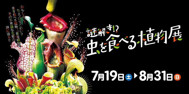 謎解き！？虫を食べる植物展（咲くやこの花館公式サイトより）