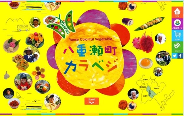 八重瀬町商工会ウェブサイトより