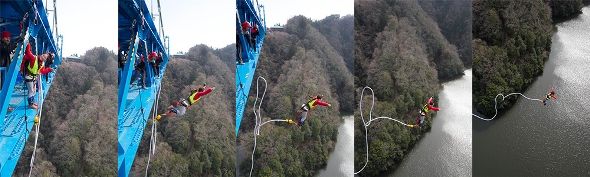 茨城県公式観光情報サイトより