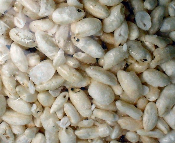 ポン菓子（＋－さん撮影、Wikimedia Commonsより）