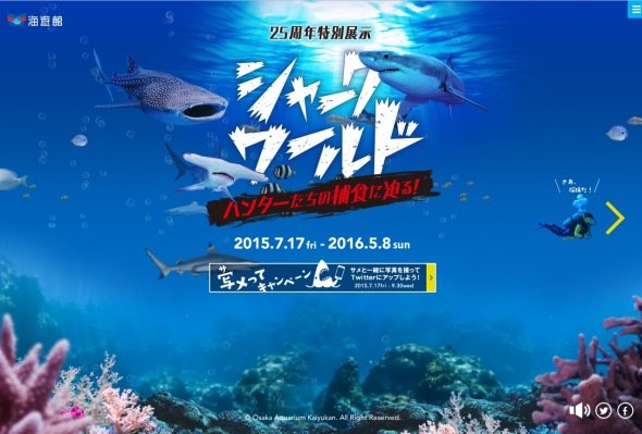 海遊館ウェブサイトより