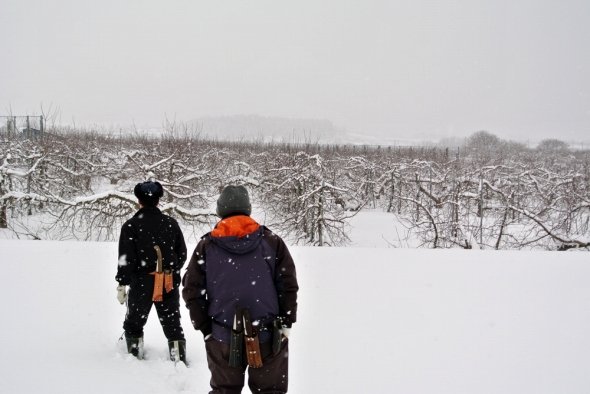 道なき道を行く...