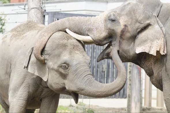 画像はイメージです