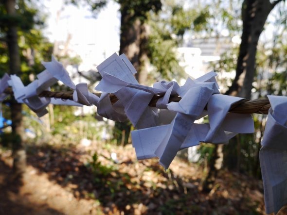 画像はイメージです