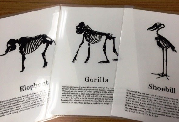 クリアファイル3種、各税込220円