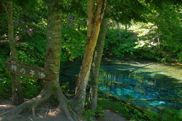 神の子池（100yenさん撮影、Wikimedia Commonsより）