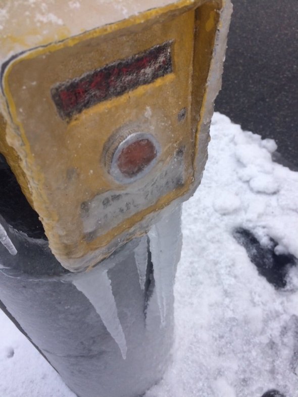 選取みどりさん（＠midori_yoridori）のツイートより 