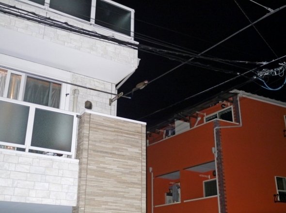 いくしゅん (@_ix4n)さんのツイートより