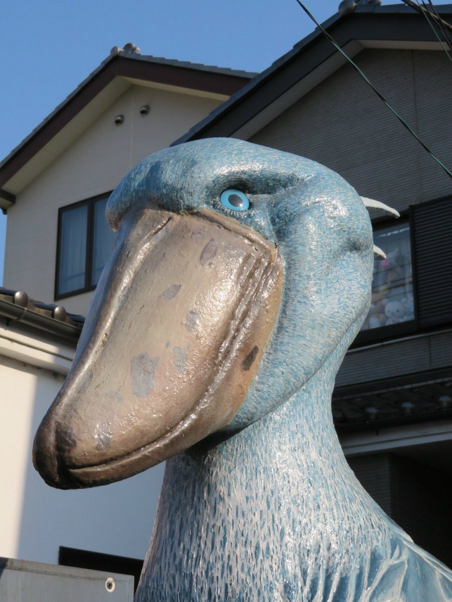 公（＠o8ke3）さんのツイッターより