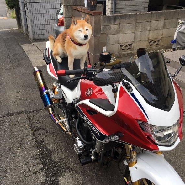 CB_akkun（＠akkun09121）さんのツイートより