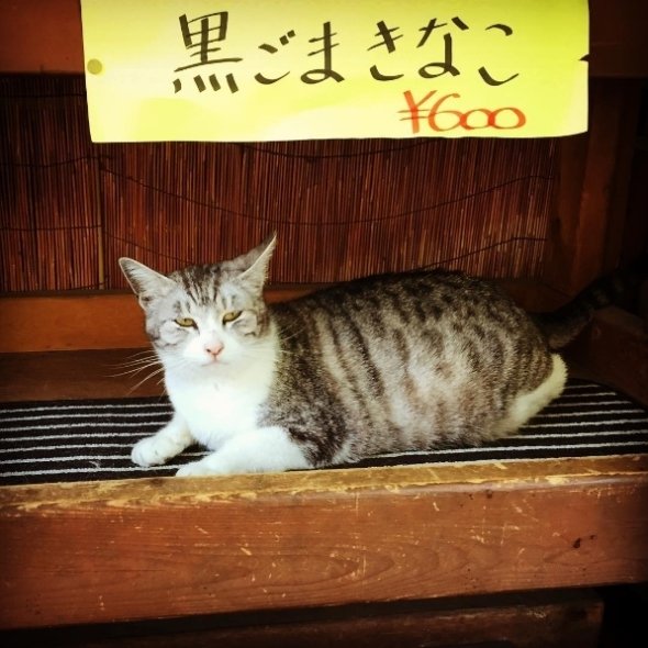 azumakuniyukiさんのInstagramより