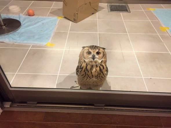 げんさんの休日（＠Gen3Act03）さんのツイートより