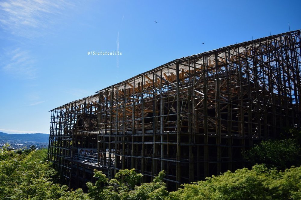 提供：らた＠写真（＠15ratatouille_p）さんのツイッター