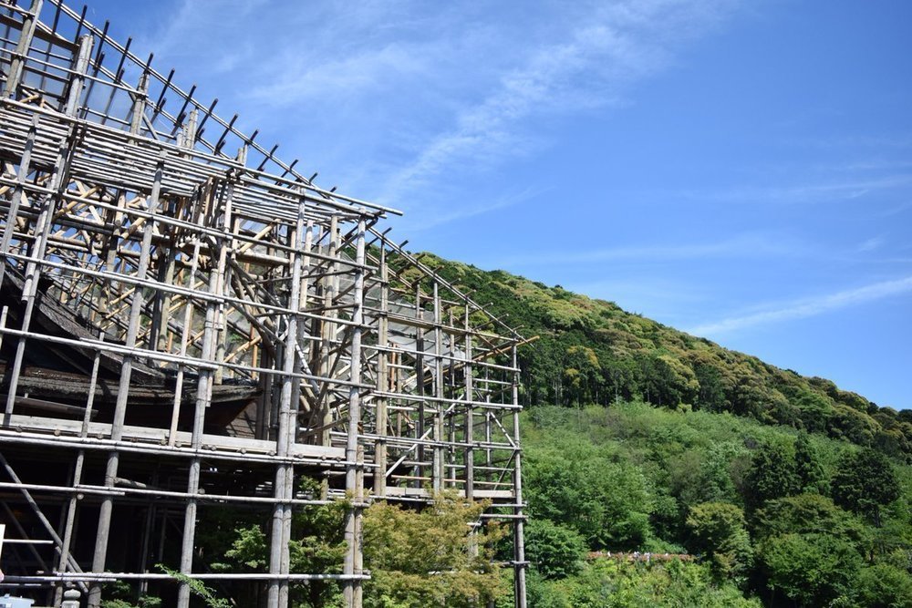 提供：らた＠写真（＠15ratatouille_p）さんのツイッター