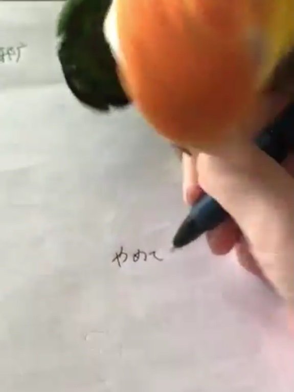 リロっぺまぁん（＠zuguo_lilo）さんのツイートより