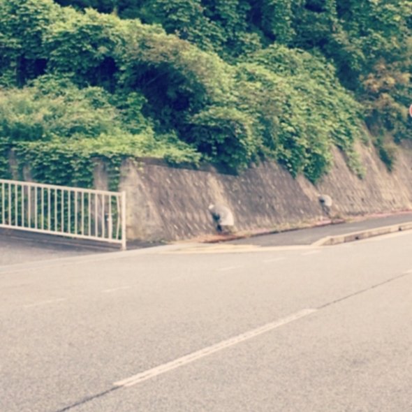 おんぷち（＠kideon）さんのツイートより