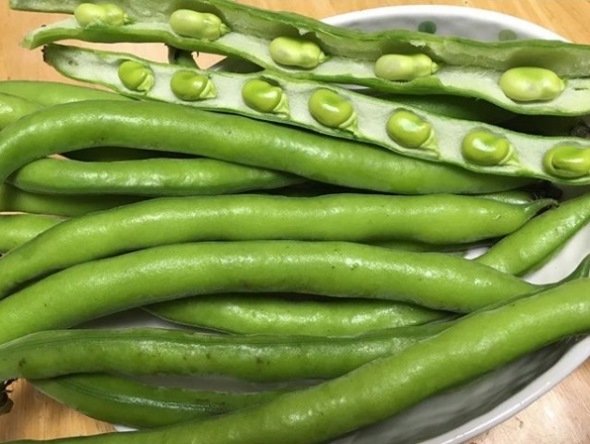 ファーべ（画像提供：田倉ファーム）