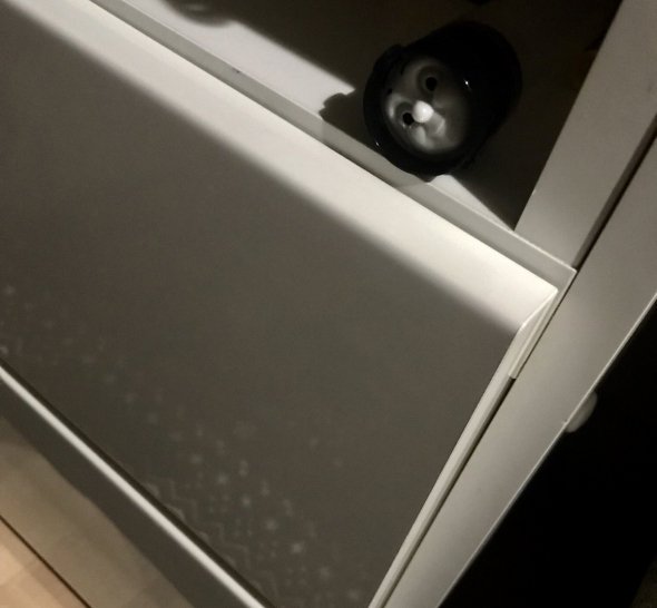 九条（＠cca041）さんのツイートより