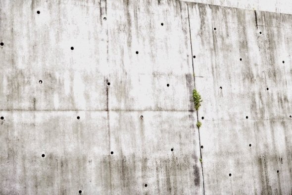 まうす（＠MausMagica）さんのツイートより