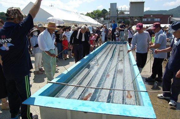 須佐男命いか祭りのレースの様子。画像提供/萩市須佐総合事務所産業振興部門
