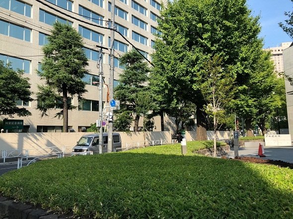 刀剣博物館の前にももちろん椎の木はない（2018年7月記者撮影）