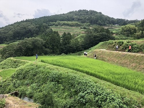 動画撮影の様子（画像は土佐町中学校提供）