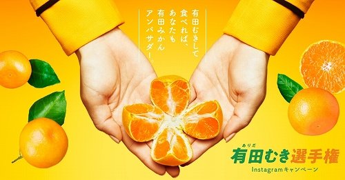 「有田むき選手権 Instagramキャンペーン」実施中（以下画像はプレスリリースより）