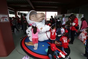 広島東洋カープ公式サイトより