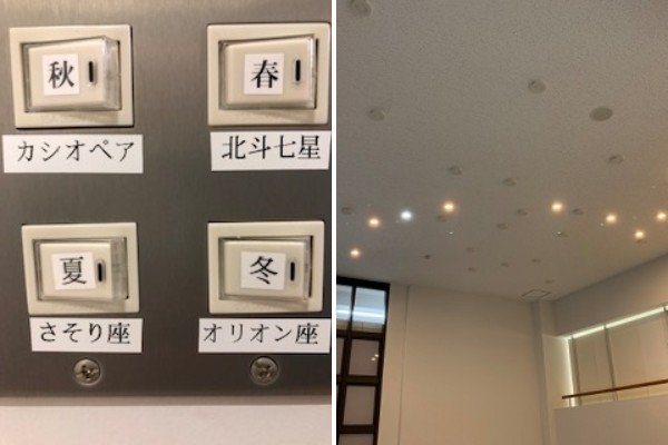 好奇心を掻き立てるスイッチを押すと...（画像は筑波大学提供）