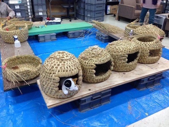 紫香楽宮遺跡発掘調査事務所が作業所として使われている