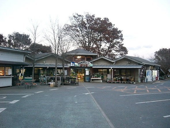 道の駅かつら外観（Fillerさん撮影、Wikimedia Commonsより）