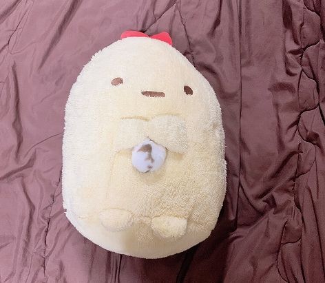 画像はゆー（@hamusutachannel）さんから