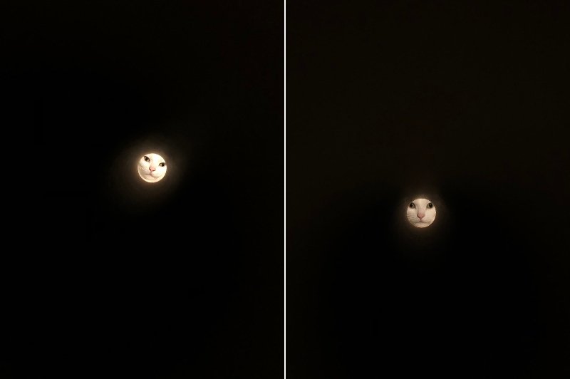 move nao（＠co12n_m）さんのツイートより