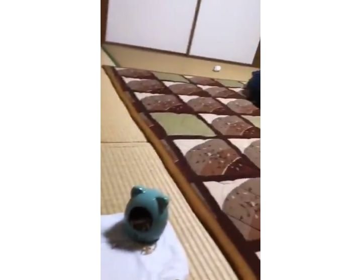 速い...（画像はべーーやん（＠hamuhamustar924）さんから）