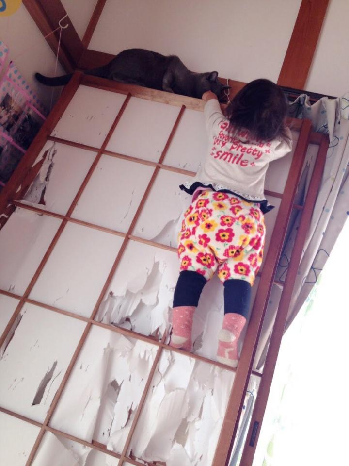 てっぺんで猫ちゃんにタッチ