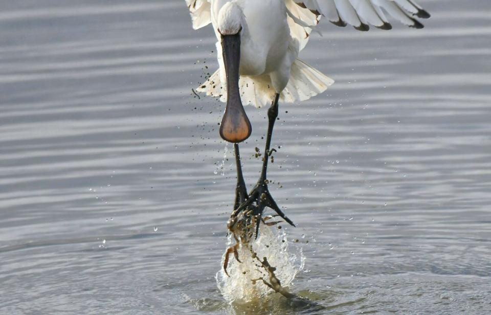 何があった？（写真はkenzouさんのツイートより）