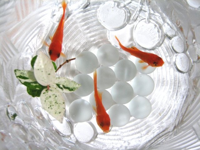 最速 金魚のフン 英語 意味