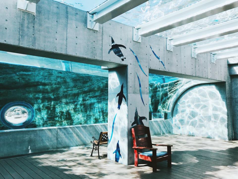 1階の様子（画像は宵月 絃＠__yoii_toさん提供）