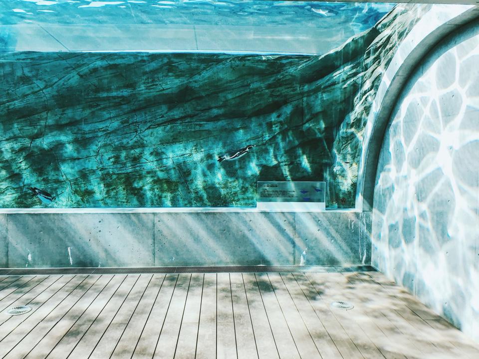 気持ちよさそう（画像は宵月 絃＠__yoii_toさん提供）