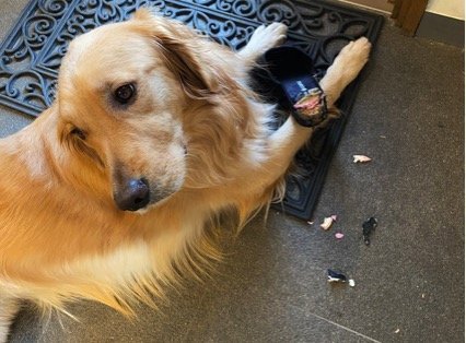 @koha170405さんのツイートより