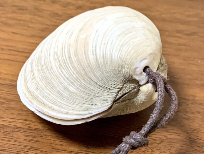貝は「ホンビノス貝」を使用（画像はオギナミ（＠oginami1118）さんから）