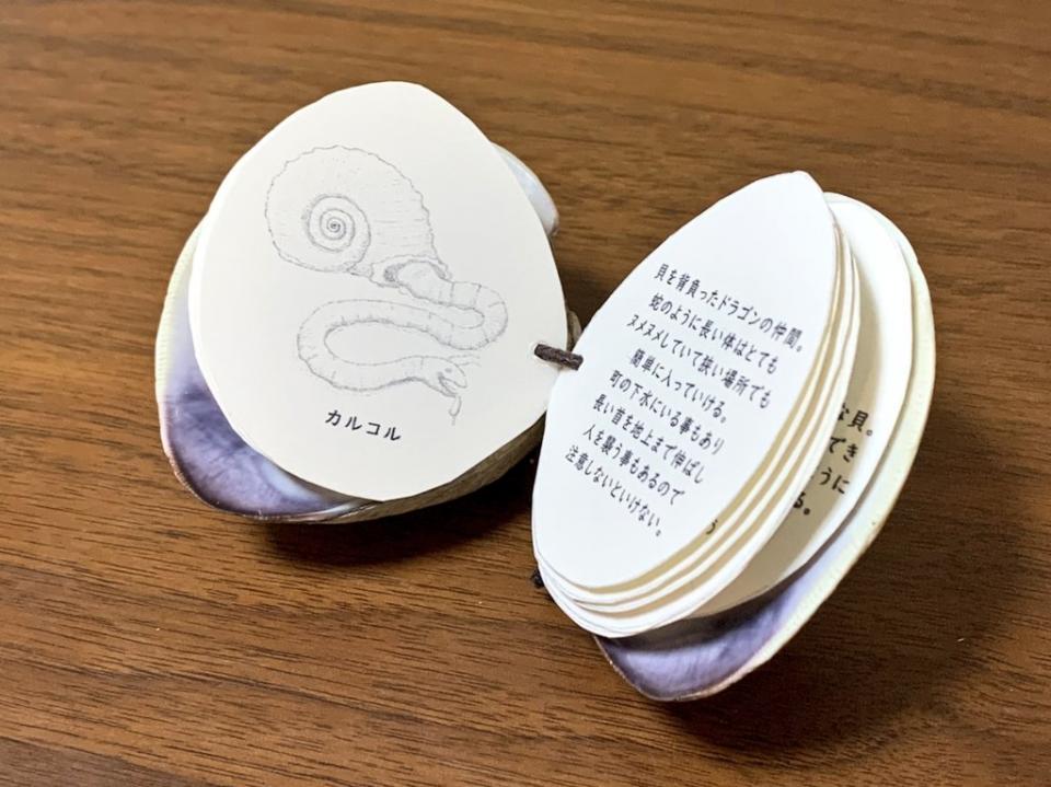 「カルコル」は、貝を背負ったドラゴンの仲間だそう