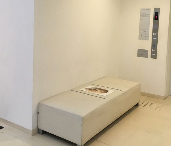 エレベーター前の椅子にも「ソーシャルディスタンス猫」がいる　（写真提供：沖縄県立博物館・美術館）