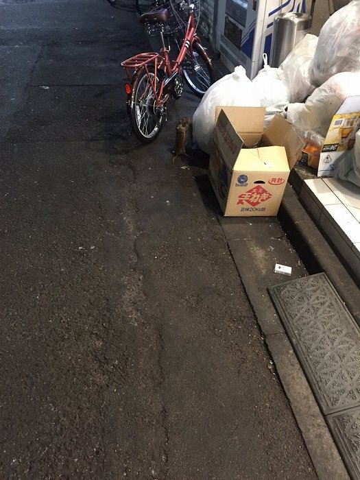 けっこう大きい（画像はMio.＠Mio20200912さん提供）