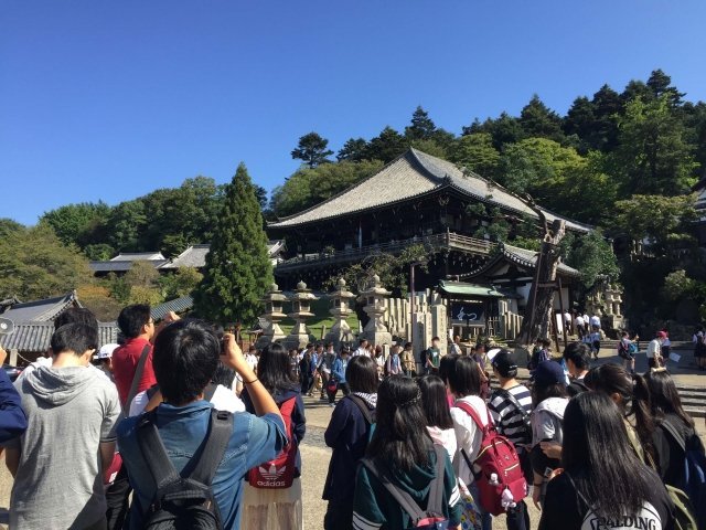 修学旅行に異変（画像はイメージです）