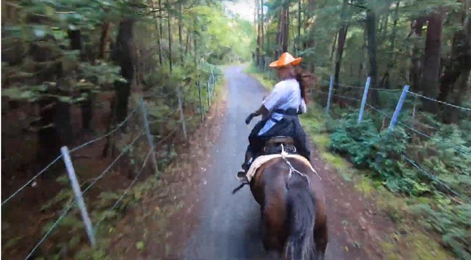 市村弘（＠kerpanen）さんが投稿した動画より