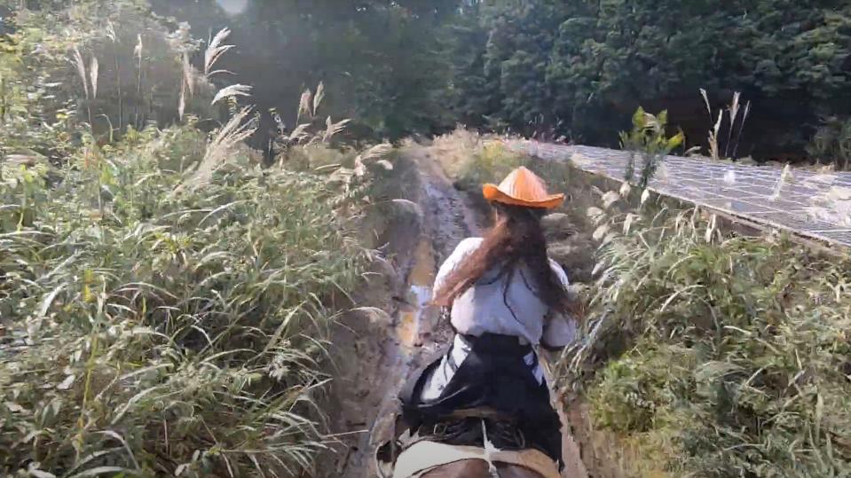 市村弘（＠kerpanen）さんが投稿した動画より