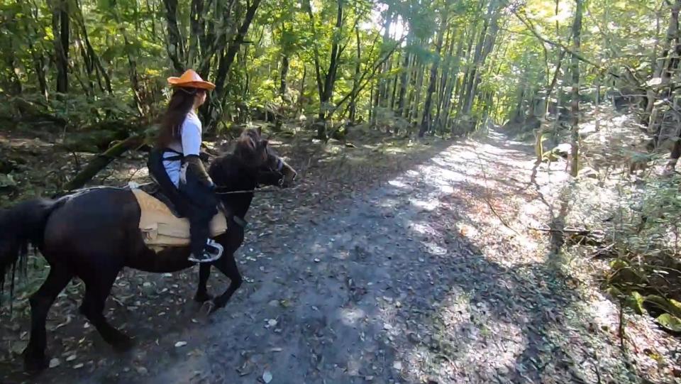 市村弘（＠kerpanen）さんが投稿した動画より