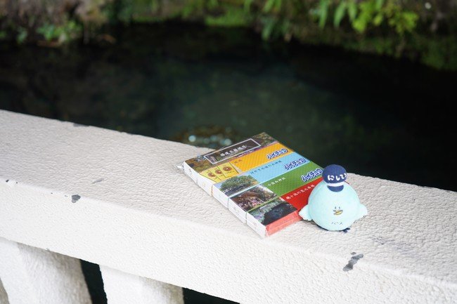 ハイチュウには開運スポットとして人気の小国「福運三社めぐり」の情報が